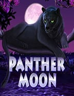 askmebet ทดลอง เล่น เกมสล็อตสุดมันส์ที่ไม่ควรพลาด