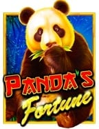 เทคนิคเด็ดๆ ในการทดลองเล่นสล็อต amb แบบเซียนไม่ใช่เล่นๆ